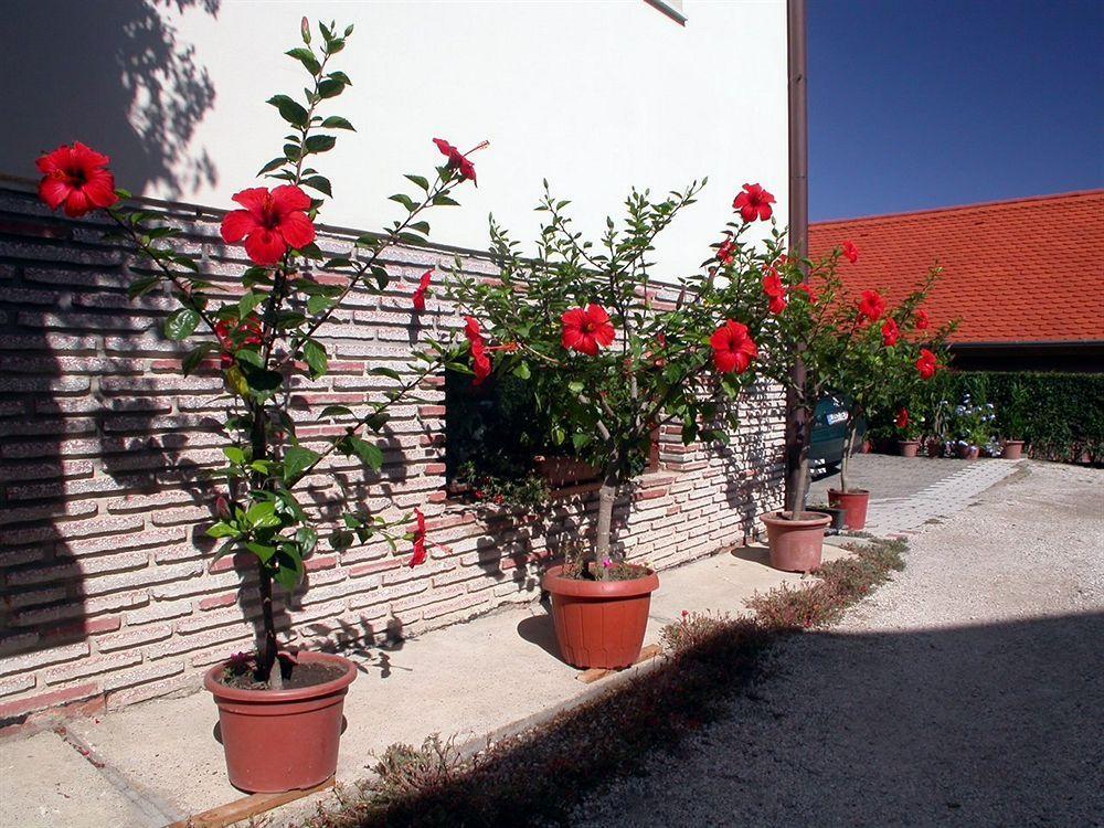 Heviz Therme Apartmenthaus מראה חיצוני תמונה